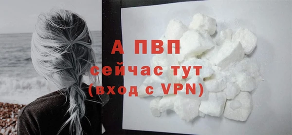 ECSTASY Вязники