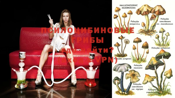 кокс Володарск